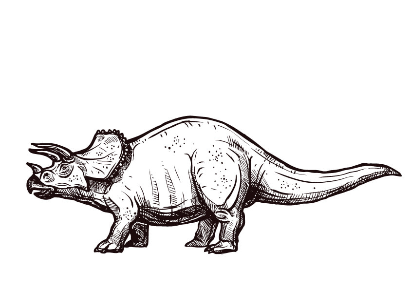 十三地域活動協議会