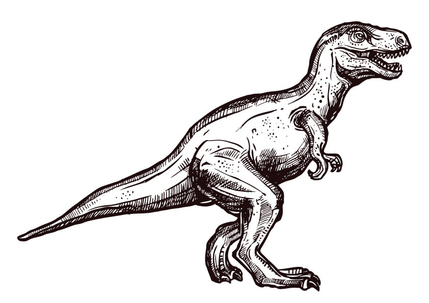 十三地域活動協議会