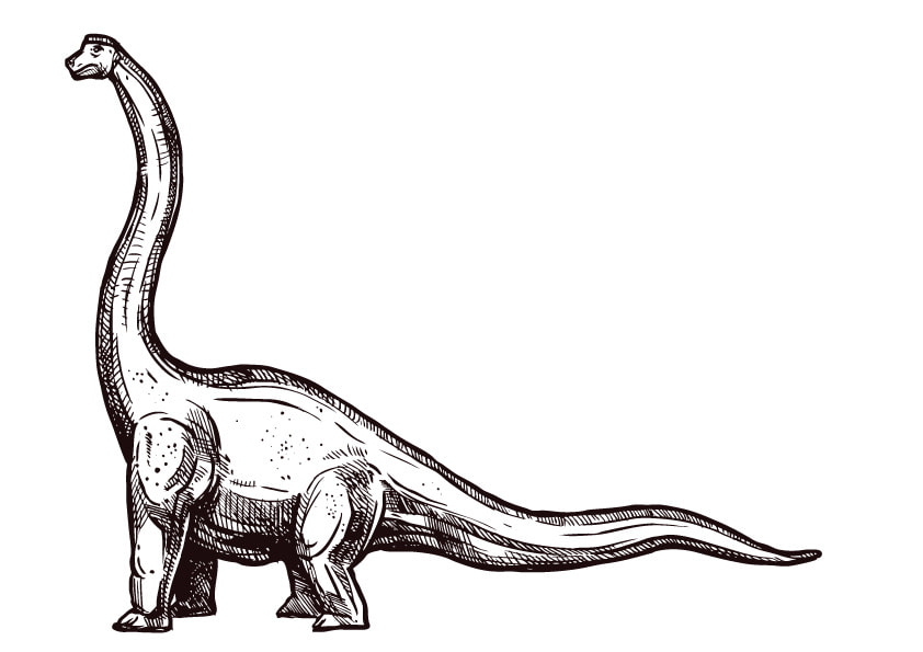 十三地域活動協議会