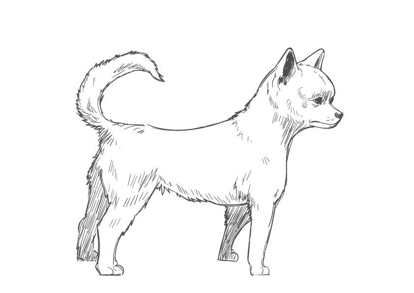 十三地域活動協議会