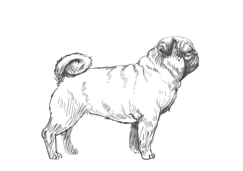 十三地域活動協議会