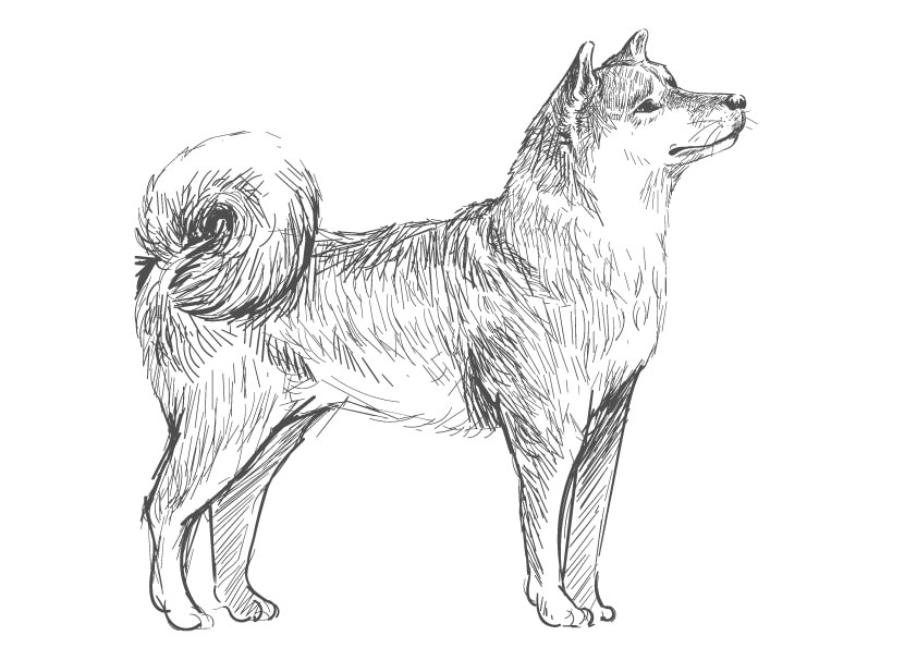 十三地域活動協議会