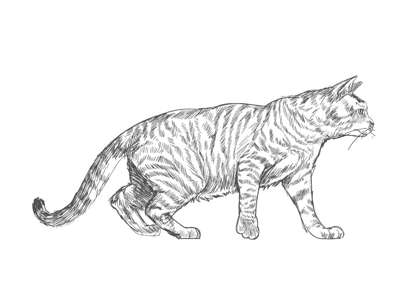 十三地域活動協議会