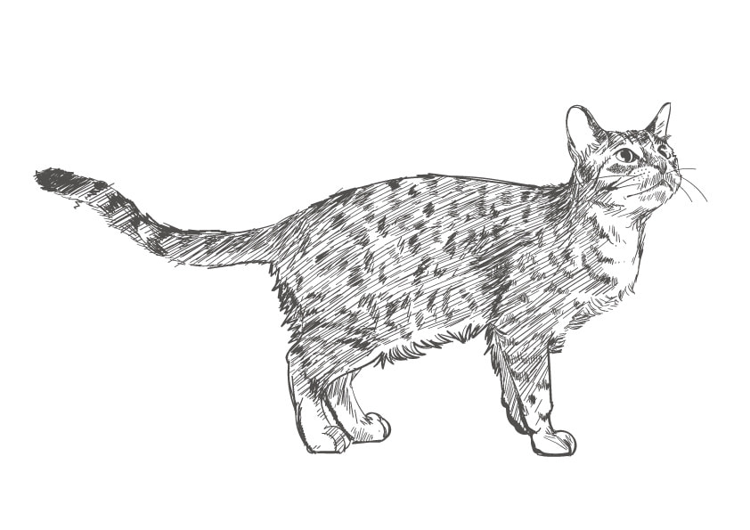 十三地域活動協議会