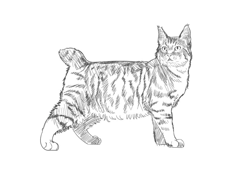 十三地域活動協議会